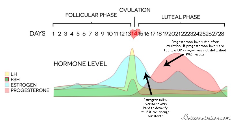 What To Expect From Your Hormones